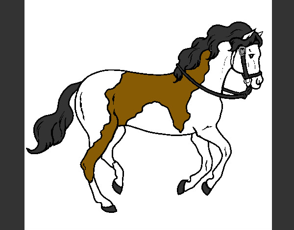 Desenho Cavalo 5 pintado por joicinha
