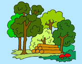 Desenho Bosque pintado por nanana