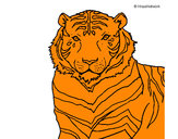 Desenho Tigre pintado por giovania