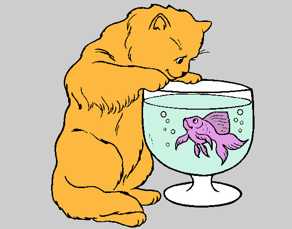 Desenho Gato a olhar para o peixe pintado por Brubs