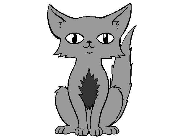 Desenho Gato persa pintado por dudda