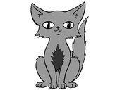 Desenho Gato persa pintado por dudda