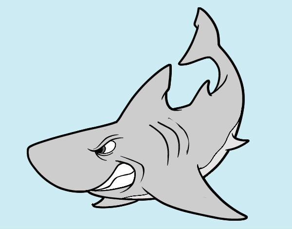 Desenho Tubarão furioso pintado por Brubs