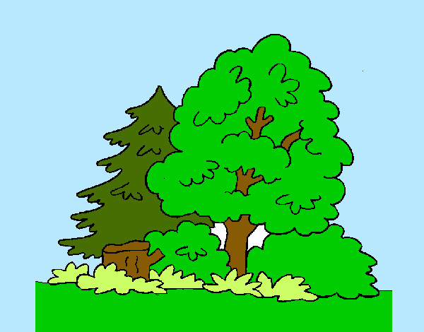 Desenho Bosque pintado por dudda
