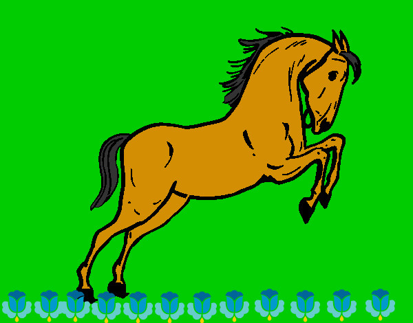 Cavalo a saltar