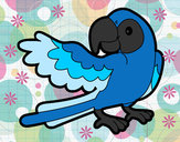 Desenho Papagaio abrir a asa pintado por Soso