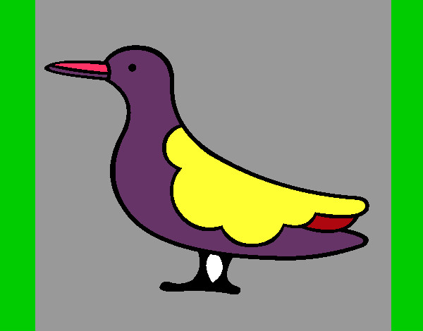 Pássaro 3