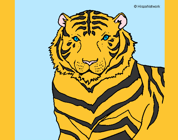 Desenho Tigre pintado por Nyna