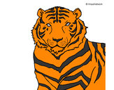 Desenho Tigre pintado por pedrohs