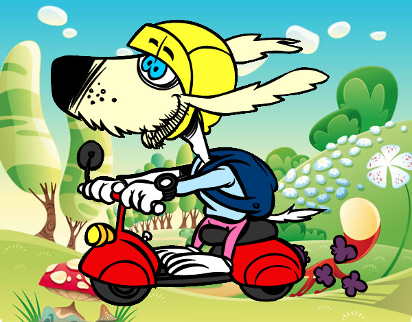 Desenho de Cão motociclista para Colorir - Colorir.com