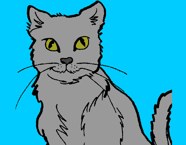 Desenho Gato pintado por Leal