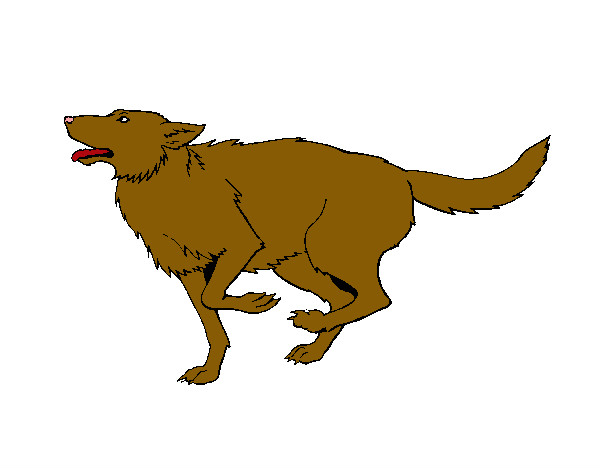 Desenho Cão a correr pintado por Monick