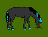 Desenho Cavalo a comer  pintado por rafaela46