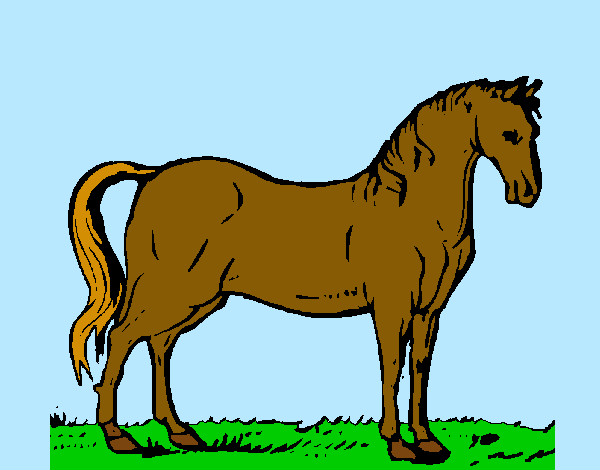 Desenho Cavalo andaluz pintado por Ge_love