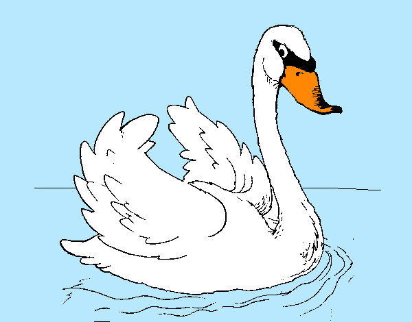 Desenho Cisne na água pintado por Ge_love