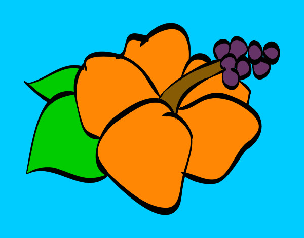 Desenho Lagunaria flor pintado por saraholive