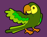 Desenho Papagaio abrir a asa pintado por pedrohs