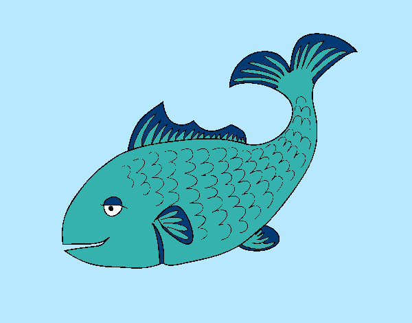 Peixe 3