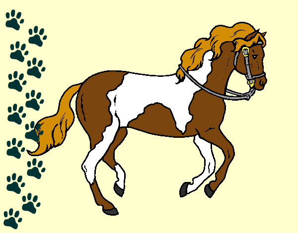 Desenho Cavalo 5 pintado por Jhonata