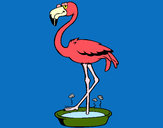 Desenho Flamingo com os pés de molho pintado por ImShampoo