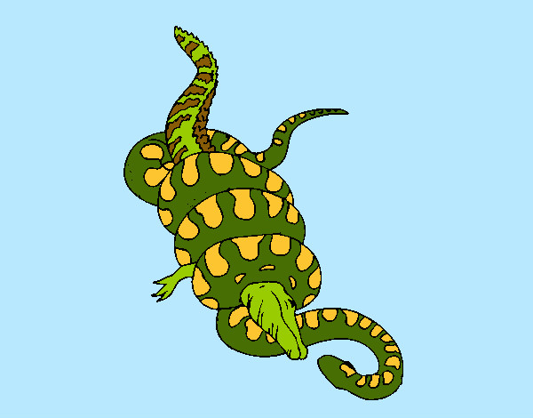 Desenho Anaconda e jacaré pintado por Siqueira