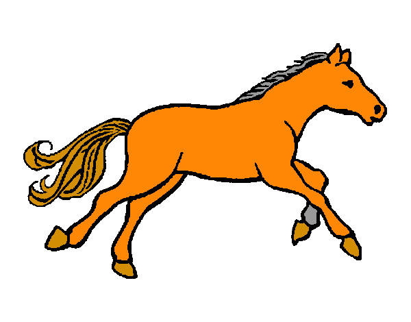 Desenho Cavalo pequeno pintado por rafaeljosy