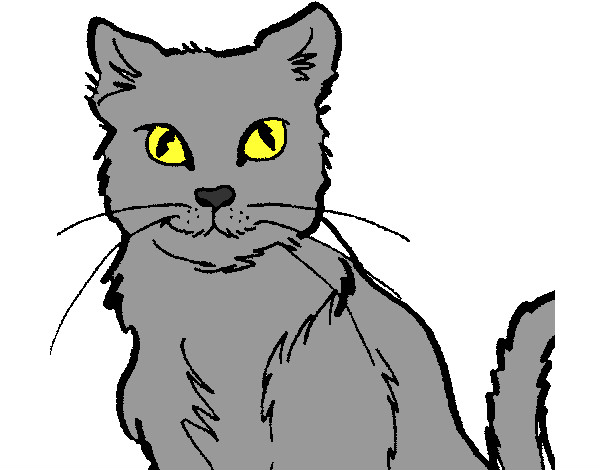 Desenho Gato pintado por lucianacar