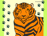 Desenho Tigre pintado por ayumi