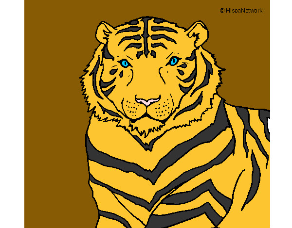 Desenho Tigre pintado por rany