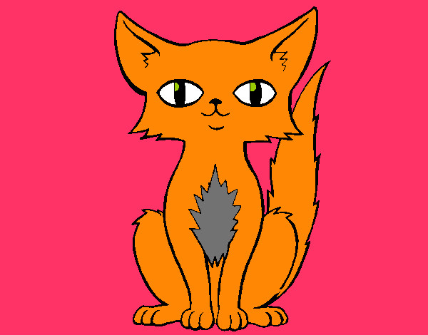 Desenho Gato persa pintado por Livinha 