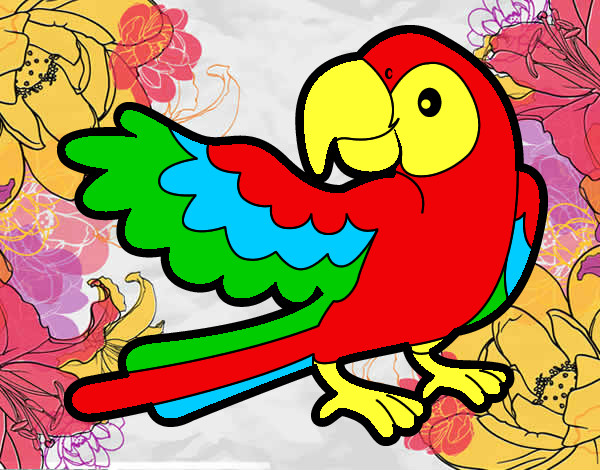 Desenho Papagaio abrir a asa pintado por reratinha