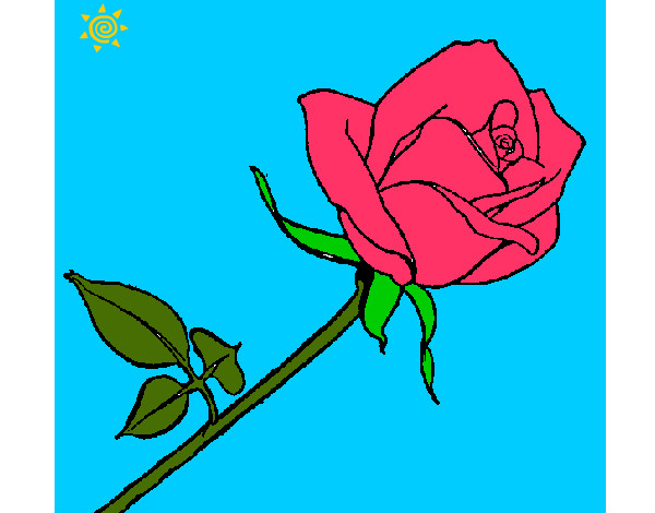 Desenho Rosa pintado por veluda