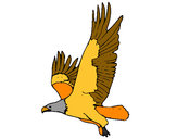 Desenho Águia a voar pintado por mabel