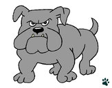 Desenho Cão Bulldog pintado por Pattyzinha