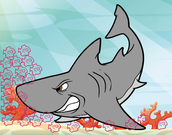 Desenho Tubarão furioso pintado por Mateusmazu