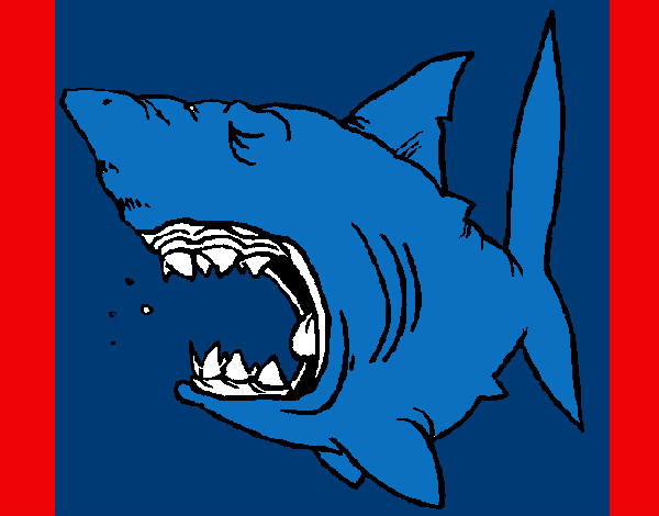 Desenho Tubarão pintado por betitamill