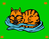 Desenho Gato na sua cama pintado por jesuse