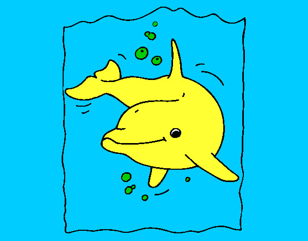 Desenho Golfinho pintado por ricardoa