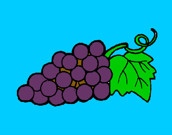Desenho Uvas pintado por ricardoa