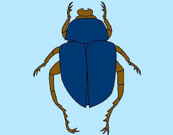 Desenho Escaravelho pintado por Nadim