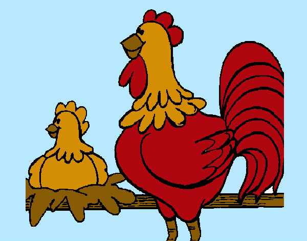 Desenho Galo e galinha pintado por Nadim