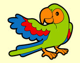Desenho Papagaio abrir a asa pintado por betinha