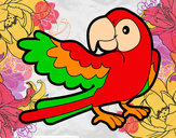 Desenho Papagaio abrir a asa pintado por Mary09