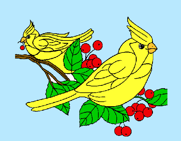 Desenho Pássaros pintado por Nadim