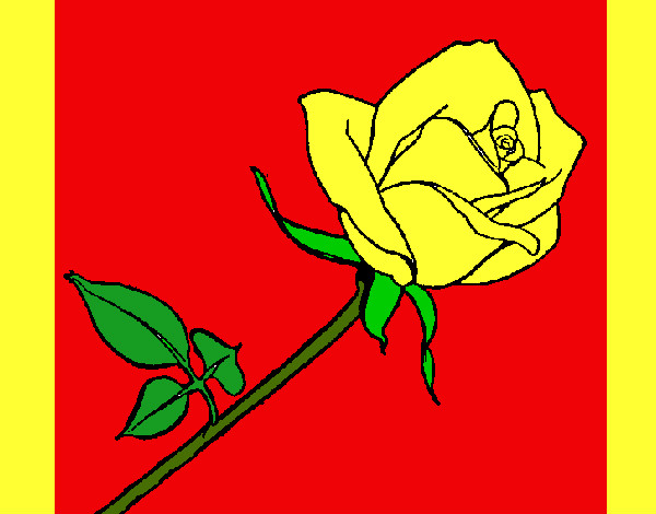 Desenho Rosa pintado por vallk