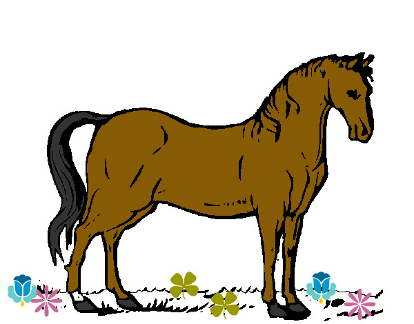 Desenho Cavalo andaluz pintado por bellebiju