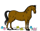 Desenho Cavalo andaluz pintado por bellebiju