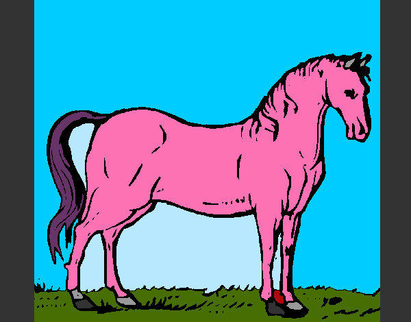 Desenho Cavalo andaluz pintado por chriskdepp