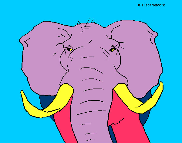 Desenho Elefante africano pintado por chriskdepp