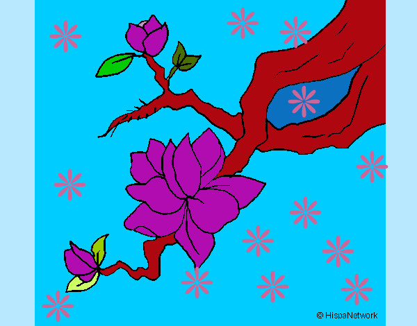Desenho Flor de amendoeira pintado por lunalua
